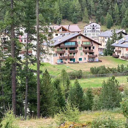Studio Swiss Me Up! Pontresina Exterior photo